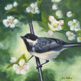 Chickadee with Apple Blossoms