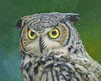 Owl II