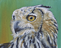 Owl III